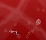 Битва микробов - Microbe Kombat 